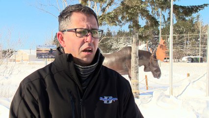 01 fev TOPO  autoroute orignaux