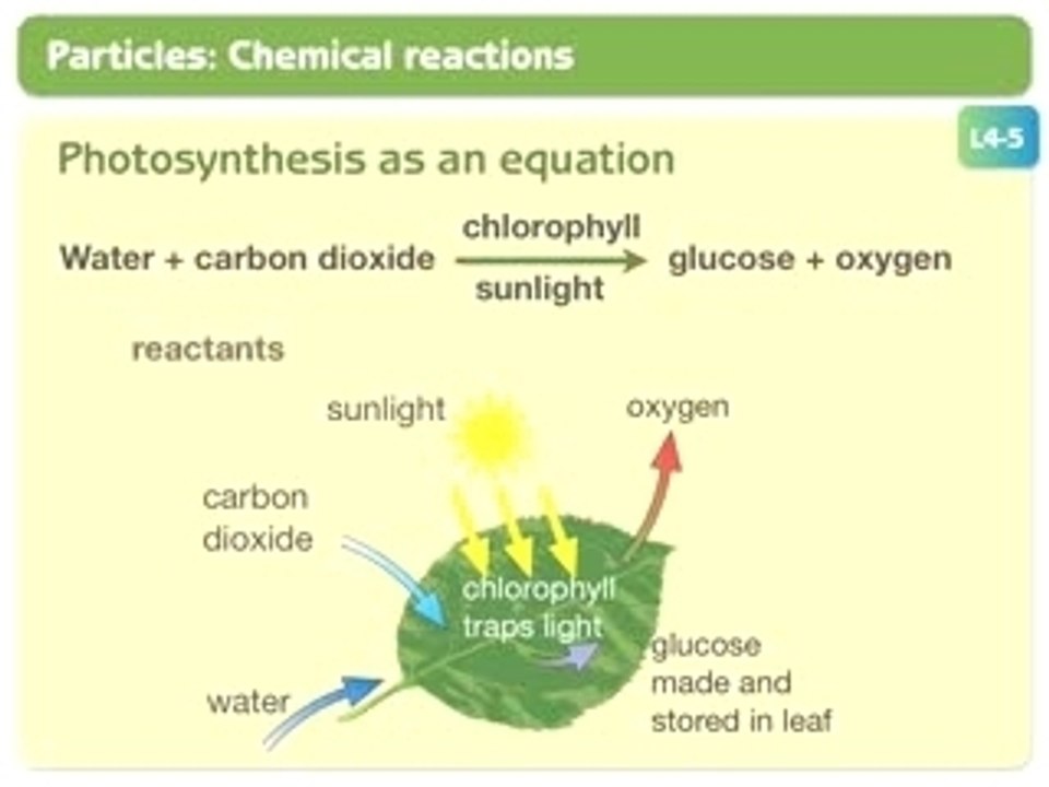 Mobile Revision:Photosynthesis as an equation