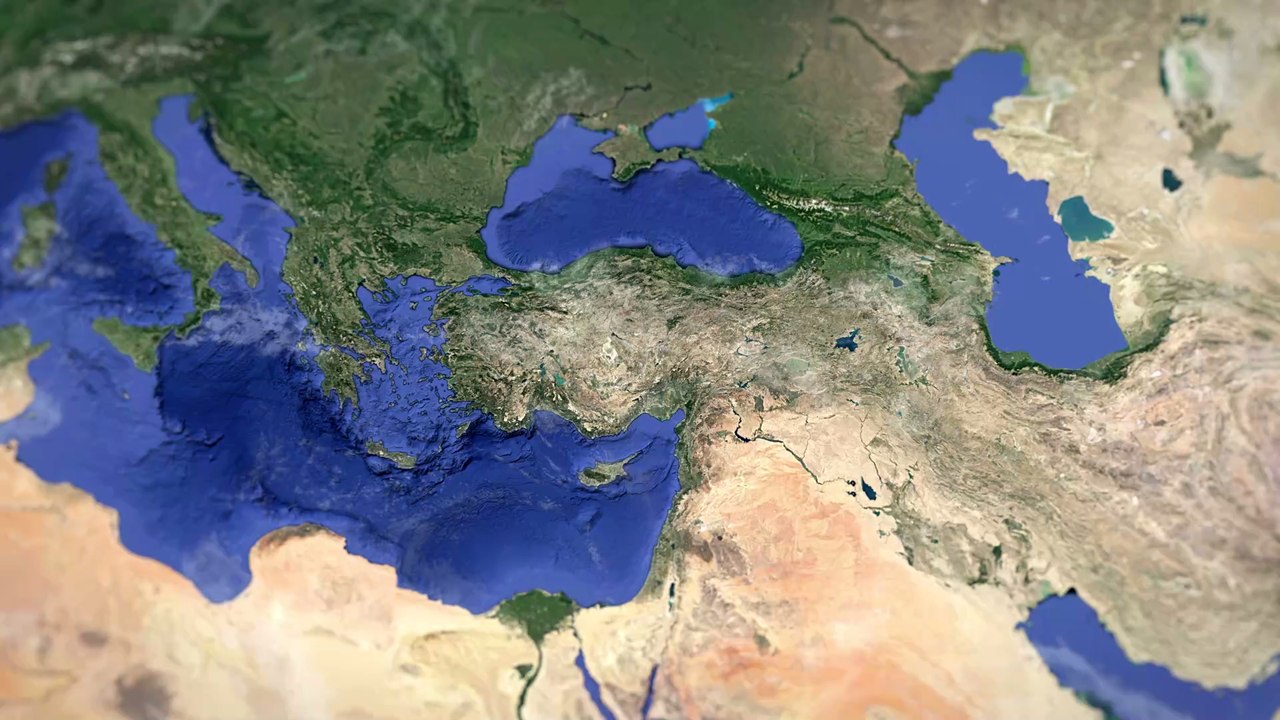 Hilfe für ihre Geburt: Schwangere Katze geht selbst ins Krankenhaus