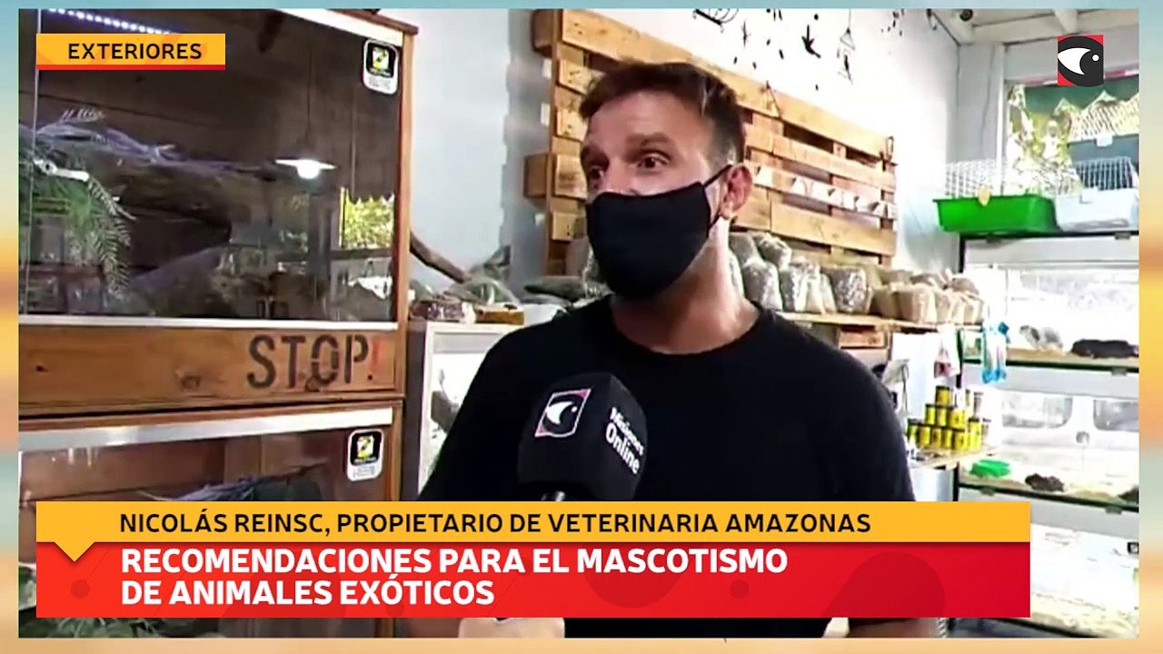 Recomendaciones para el mascotismo de animales exóticos