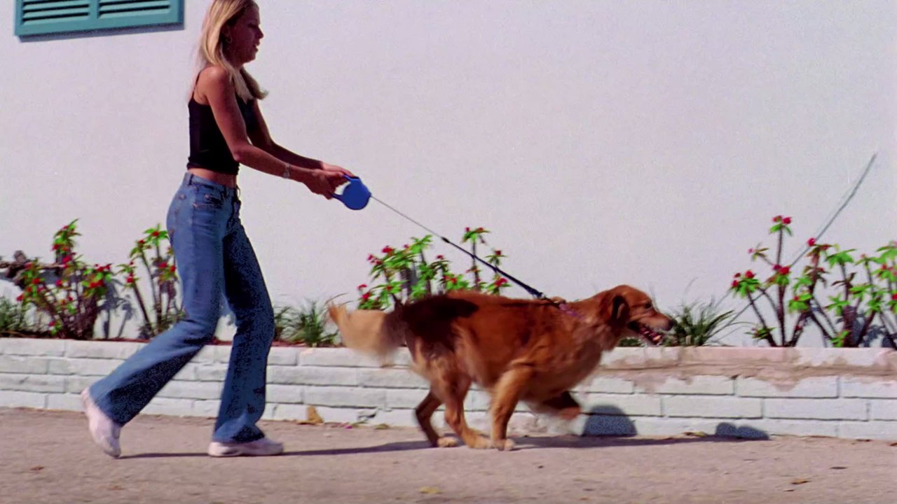 Freund für's Leben: Wie gewinnt man das Herz seines Hundes?