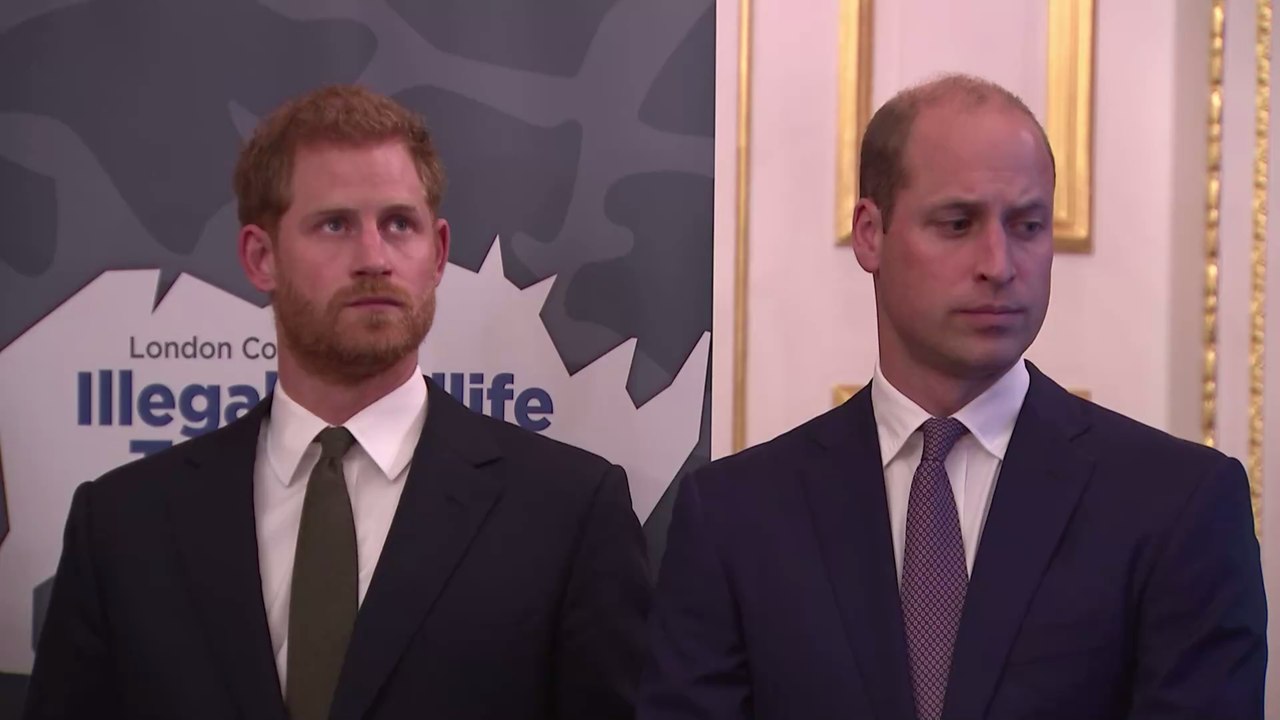 Geheime Gespräche zwischen Harry und William: Meghans Freundin packt aus