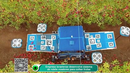 Empresa israelense desenvolve sistema de robôs voadores para colher frutas