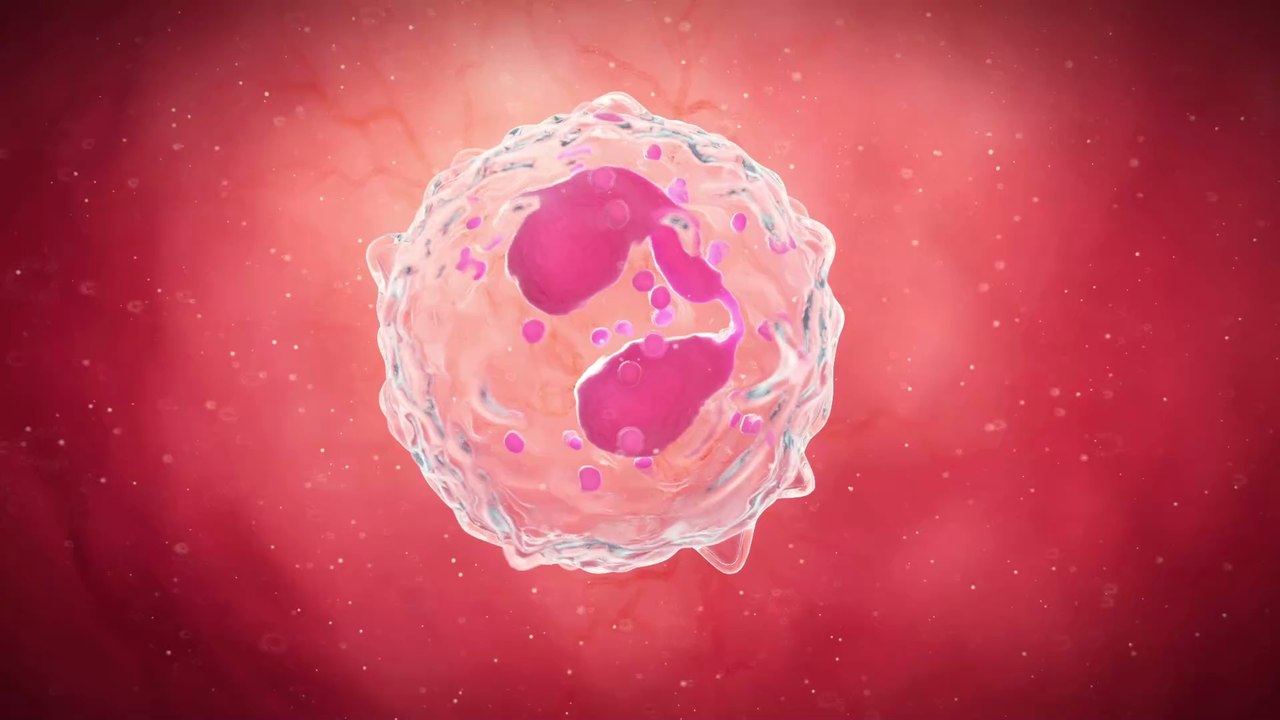 Mit diesen Lebensmitteln kannst du dein Immunsystem boosten