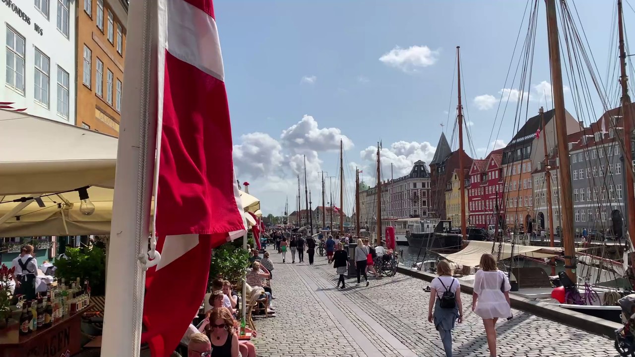 17 Millionen Nerze: Dänemark trifft grausame Corona-Entscheidung