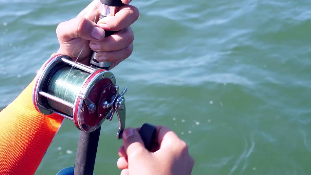 Keine Sekunde gezögert: Angler retten Haustier aus Ostsee!