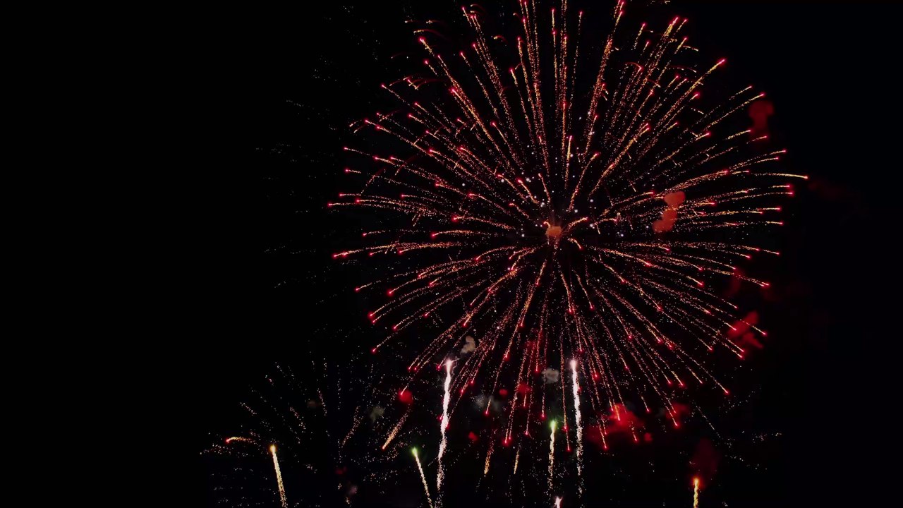 Mit diesen alternativen Möglichkeiten hat euer Hund am Silvesterabend keine Angst mehr