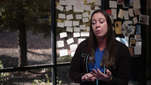 Pet Orthopedics in El Dorado Hills, CA | Insight Veterinary Wellness Center