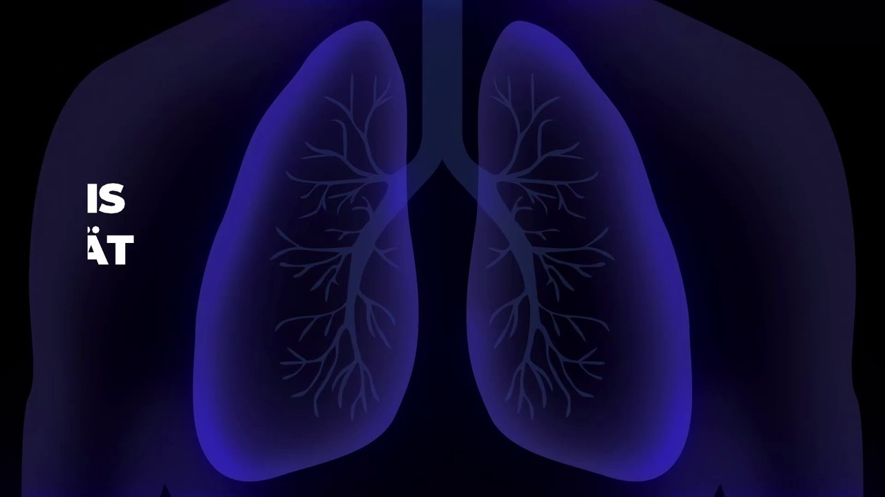 Immunitäts-Ausweis: Dürfen Geimpfte vor allen anderen wieder ein normales Leben führen?