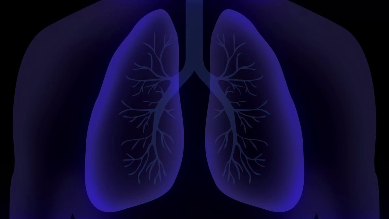 'Covid-Symptome flammen vor Periode wieder auf': So beeinflusst Corona bei ehemals Infizierten die Regelblutung