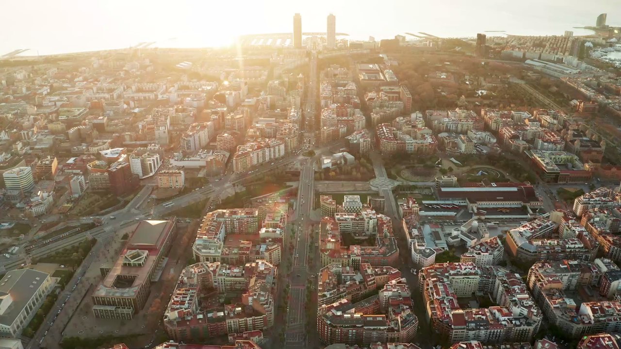 Coronavirus: Gleich vier Löwen im Zoo von Barcelona infiziert - auch Tierpfleger betroffen!