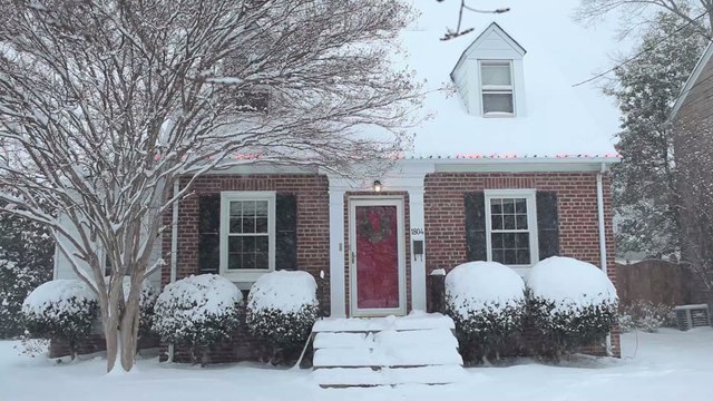 Ein Weihnachtswunder: Diese Katze überrascht ihre Familie pünktlich zum Fest