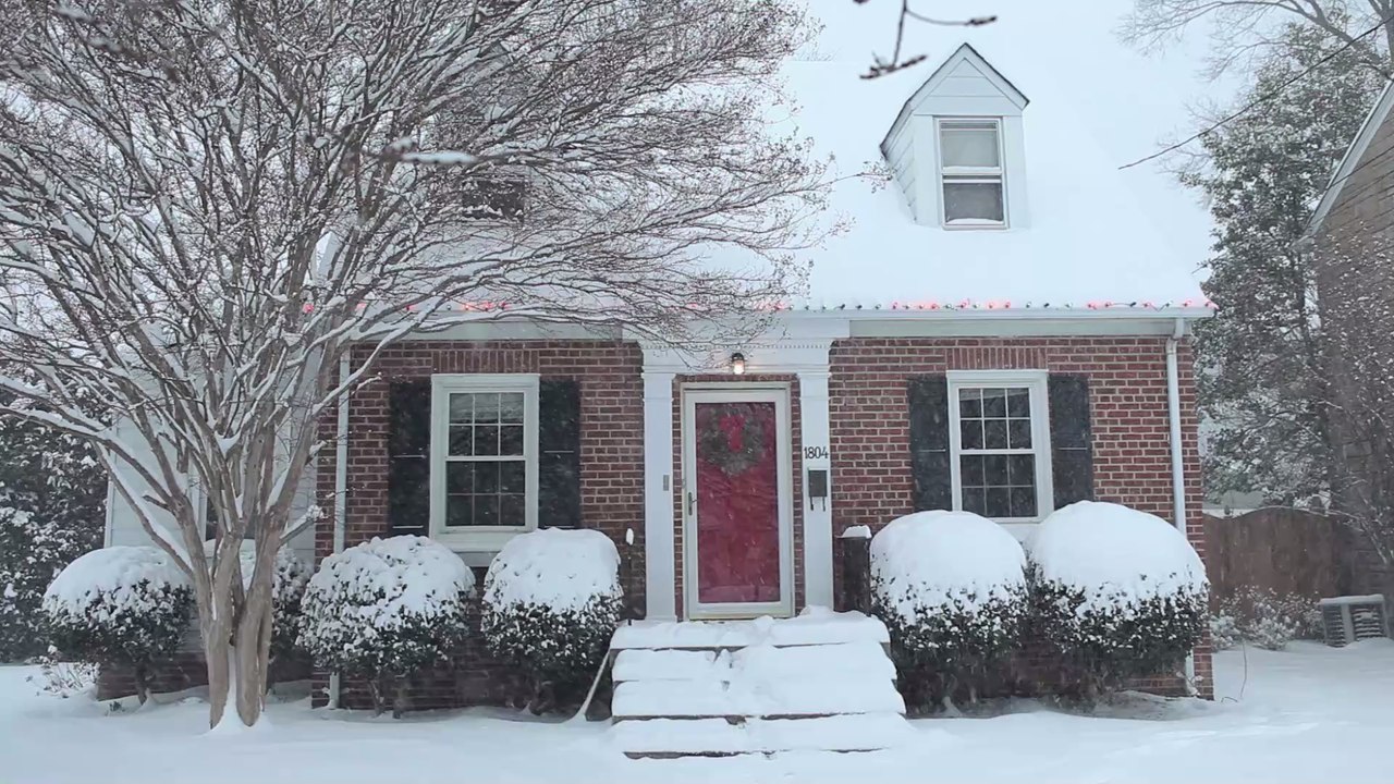 Ein Weihnachtswunder: Diese Katze überrascht ihre Familie pünktlich zum Fest