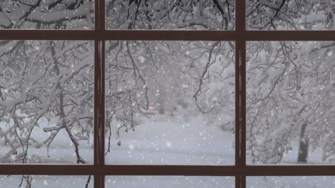 Achtung, Schnee: Hier lauern Gefahren für Hunde
