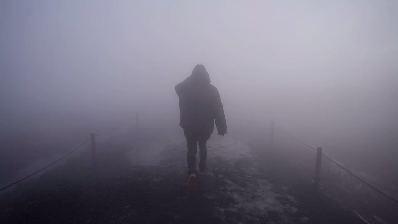 Braucht mein Hund eine 'Maulkorb-Maske'?