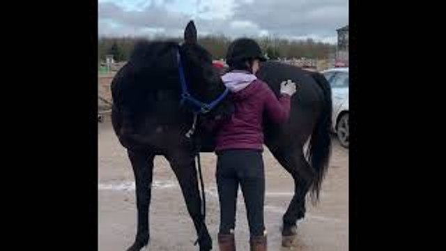 Scratch My Back (or Hip), And I’ll Scratch Yours