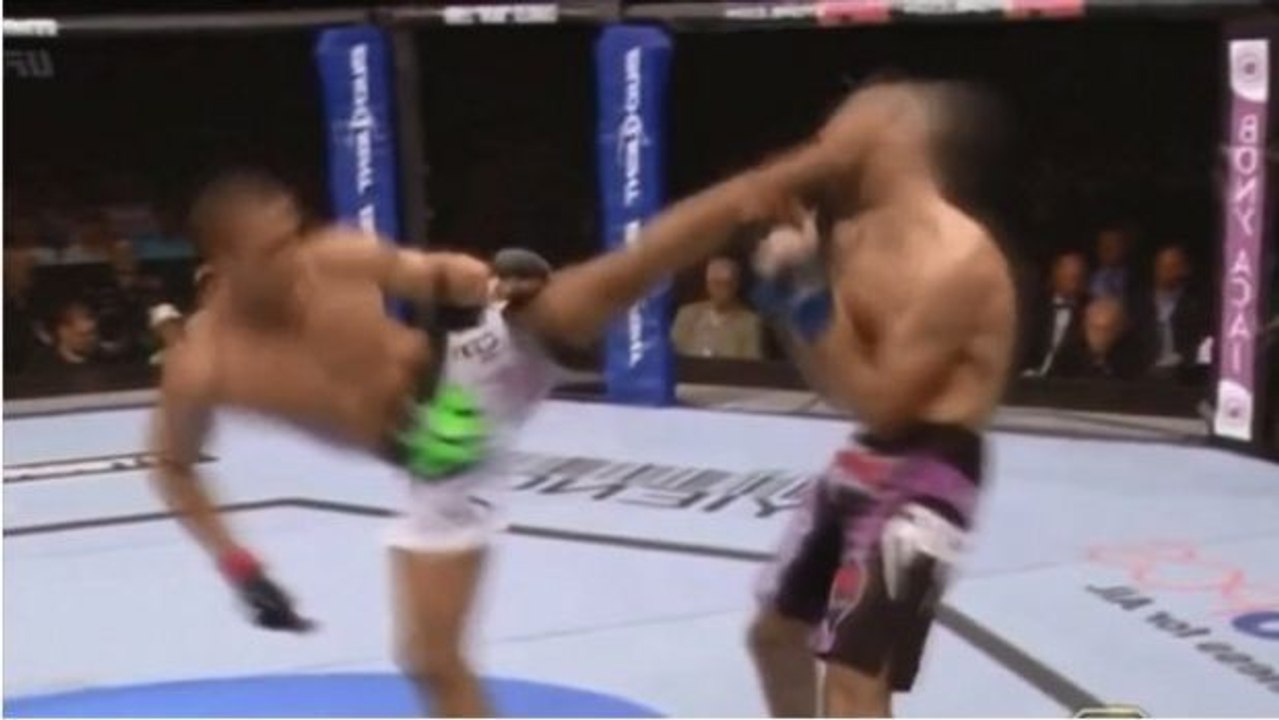 MMA: Ein beeindruckender K.O. nach einem brutalen Kick