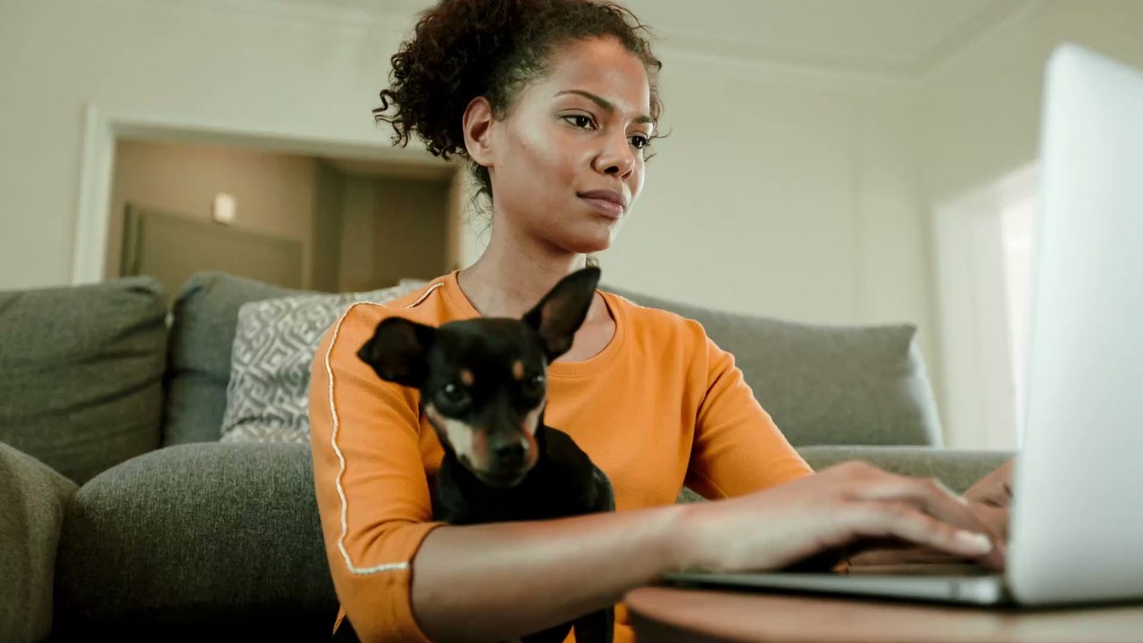 Haustiere im Lockdown: So beschäftigt ihr sie und baut eine engere Bindung auf