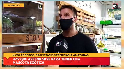 Hay que asesorarse para tener una mascota exótica