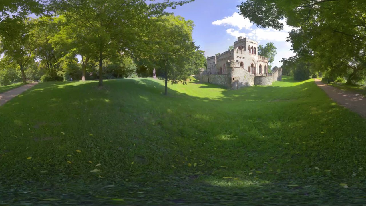 Eine wilde Bande: Diese Papageien bereiten sich mitten in Deutschland gerade auf das Brüten vor