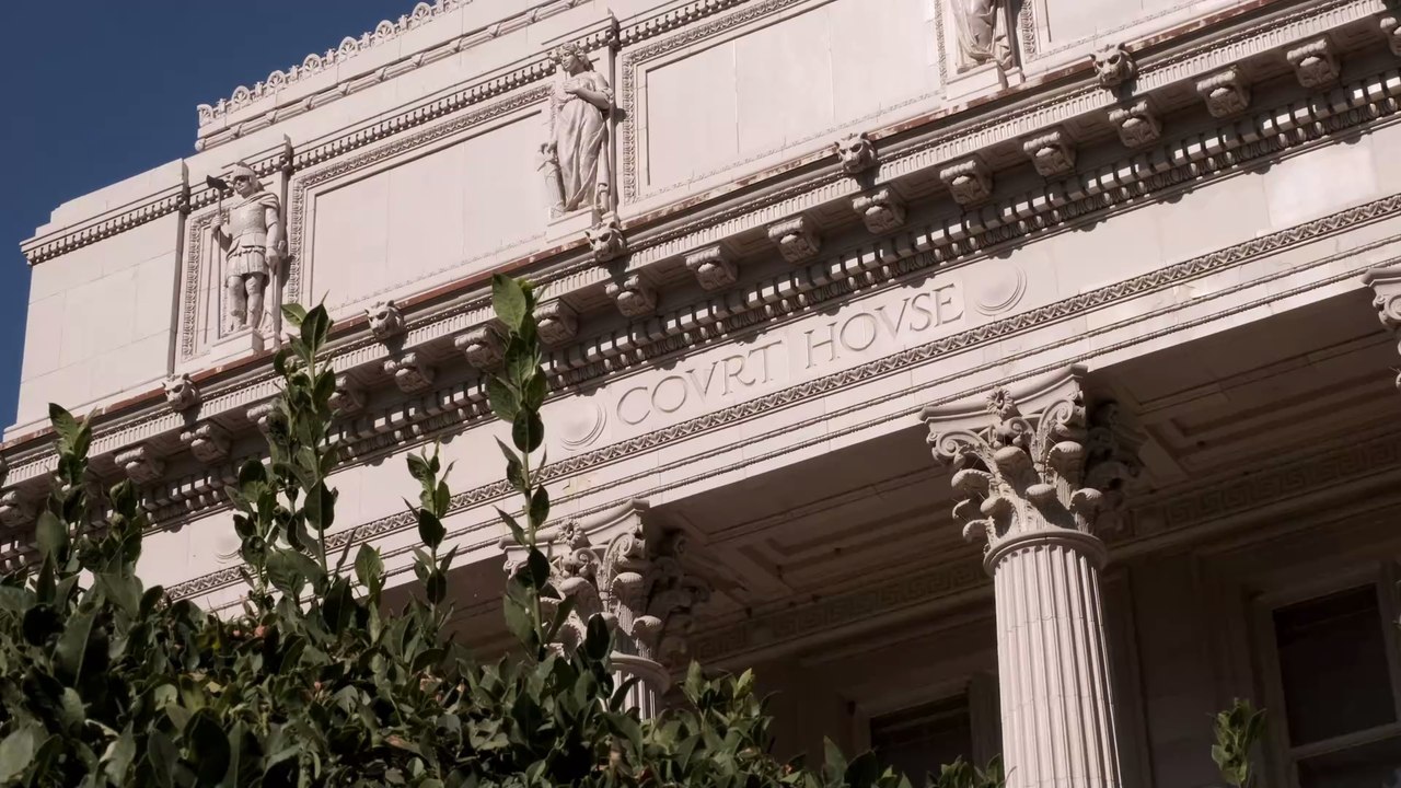 „Ich bin live hier, ich bin keine Katze“: Anwalt als Katze im Zoom-Call