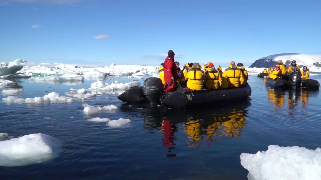 Verfolgungsjagd mit einem Killerwal: Pinguin rettet sich in Touristenboot