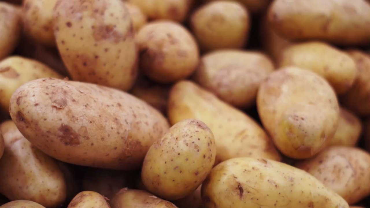 Giftig oder essbar? Was macht man mit austreibenden Kartoffeln?