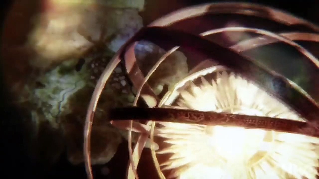 Game of Thrones Saison 0 - "Official" Show Open (EN)