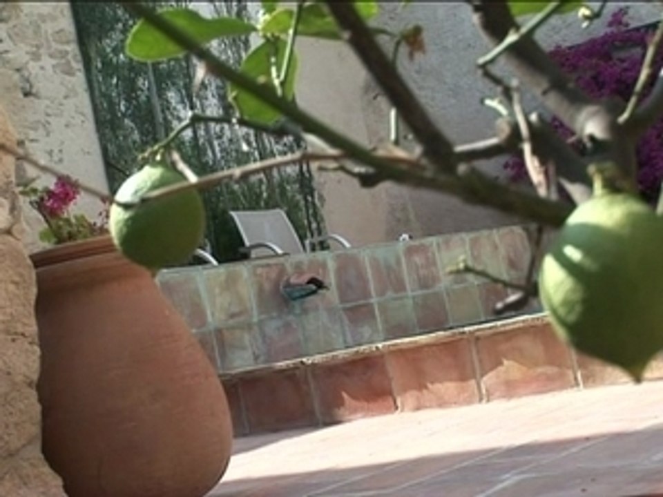 Hôtel d'Arlatan - Pixel Events - Video Arles