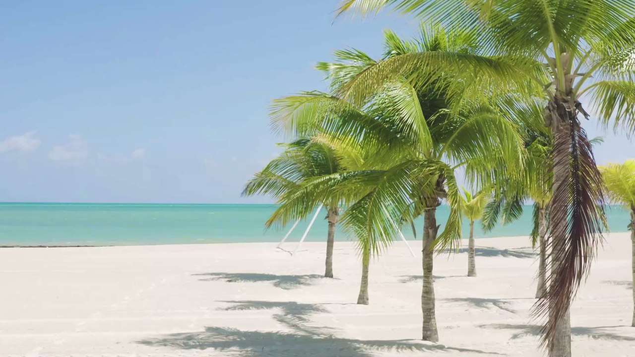 Drogen bei Promis unter Palmen: Was im TV nicht gezeigt wurde