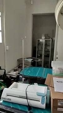 Cães são mantidos presos em caixas no Cepread em Blumenau