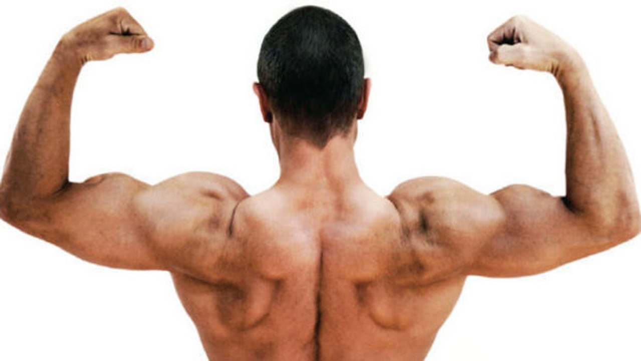 15 Übungen für den Fitnessraum, um ultra muskulöse Arme zu bekommen