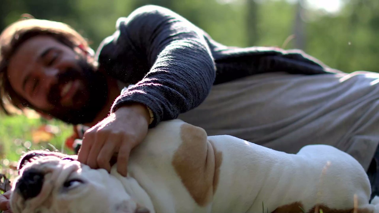 Läuse, Knochen und Co.: Wusstest du es? Auch diese Lebensmittel enthalten tierische Bestandteile