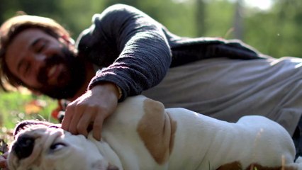 Läuse, Knochen und Co.: Wusstest du es? Auch diese Lebensmittel enthalten tierische Bestandteile