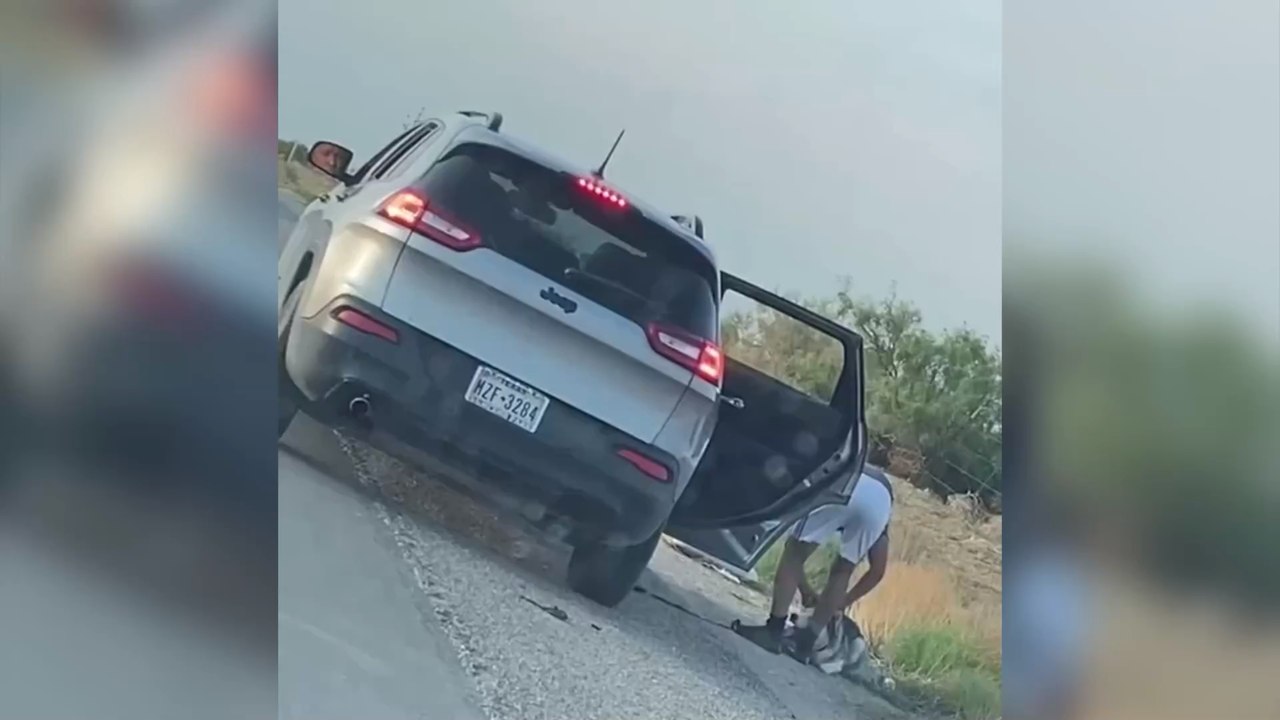 Husky läuft hinter Auto her: Herzzerreißendes Video enthüllt den traurigen Grund