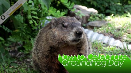 How to Celebrate Groundhog Day