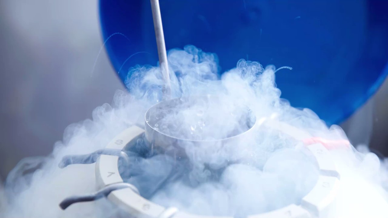 Kinderwunsch? Künftige Eltern können Spermien und Eizellen nun 55 Jahre lagern