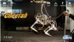 Le robot guépard Cheetah bat le record de vitesse