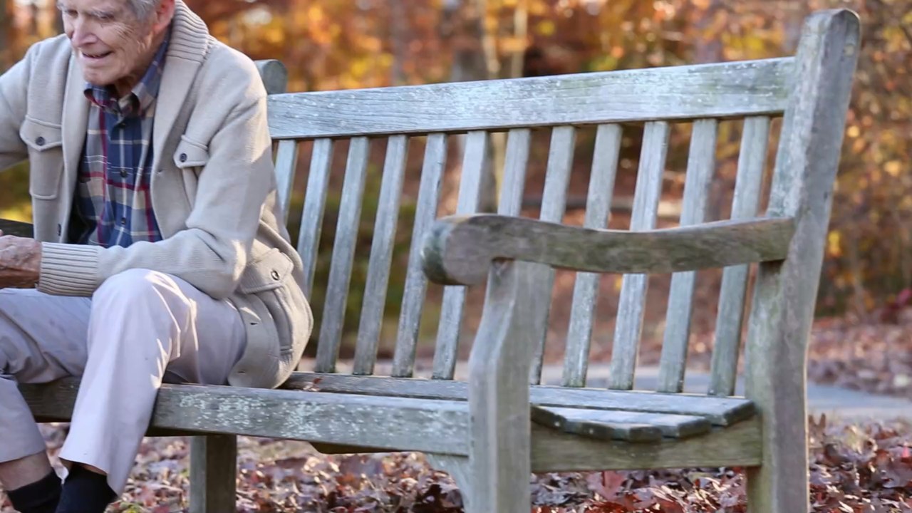 Warum macht er das bloß? Golden Retriever setzt sich jeden Tag an die gleiche Stelle vor das Haus