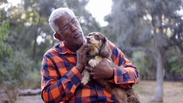 Mit dem Vierbeiner im Auto unterwegs: Welche Regeln sind wichtig und was droht bei Missachtung?