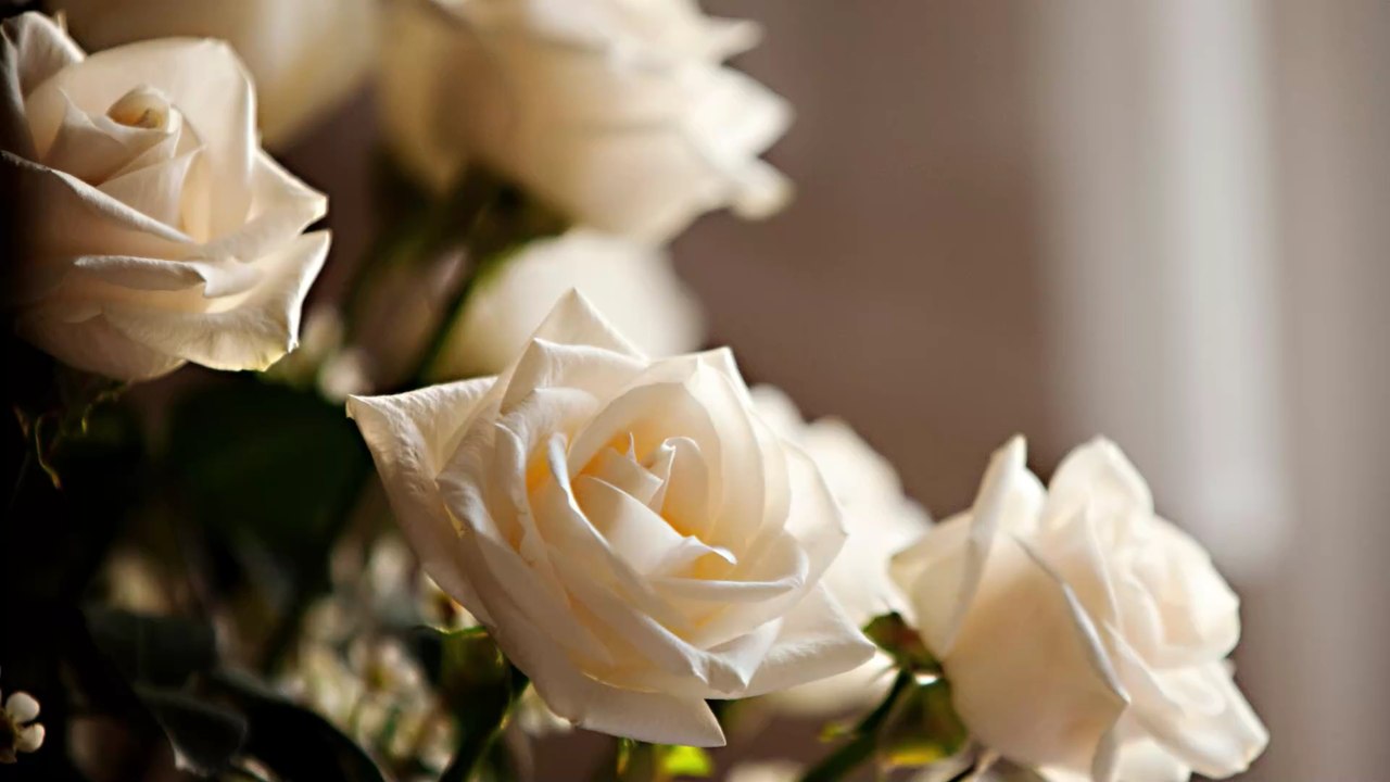 Verwechslung bei der Bestattung: Nicht die Mutter liegt im Sarg