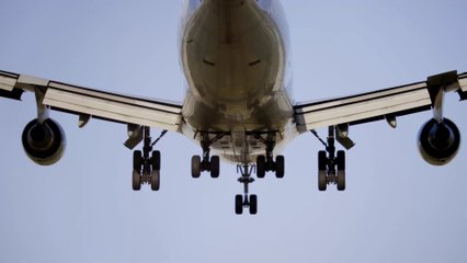 Télécharger la video: Gepäck am Flughafen zu schwer: Als das Ehepaar den Koffer öffnet, findet es einen Hund