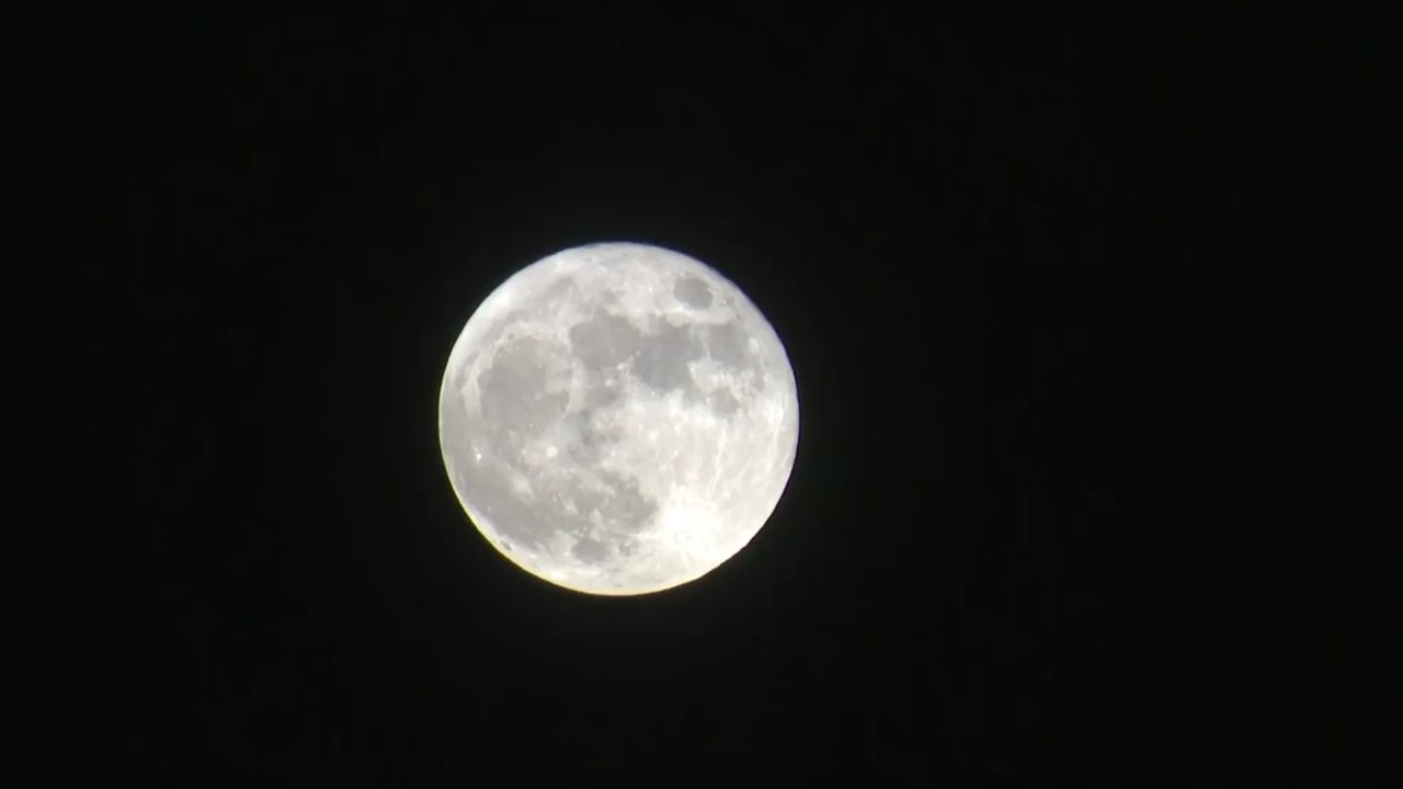Vollmond am 20. Oktober: Welchen Einfluss hat er auf dein Sternzeichen?