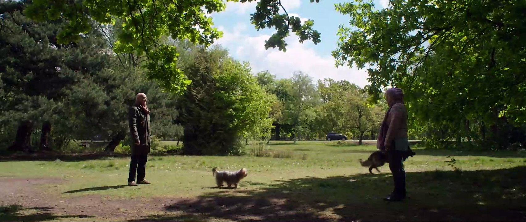 MIT HERZ UND HUND Film