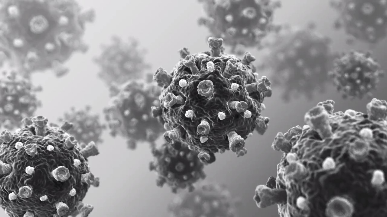 Coronavirus: Rottet sich die Delta-Variante selbst aus?