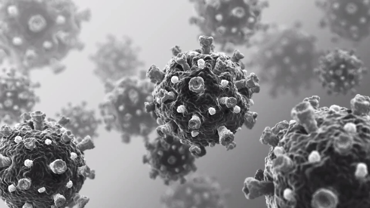 Coronavirus: rottet sich die delta-variante selbst aus?