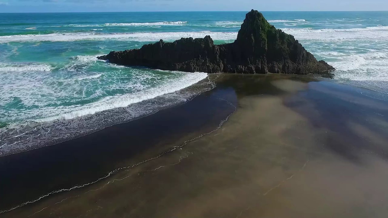 Neuseeländische studentin von opossum "als geisel" genommen