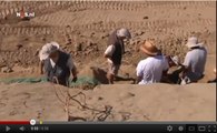 Un gisement de fossiles de mammouths découvert en Serbie