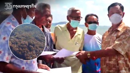 "น้ำมันรั่ว" ระยอง เปิดภาพใต้ท้องทะเลล่าสุด อช.เขาแหลมหญ้ายันพร้อมรับนทท.