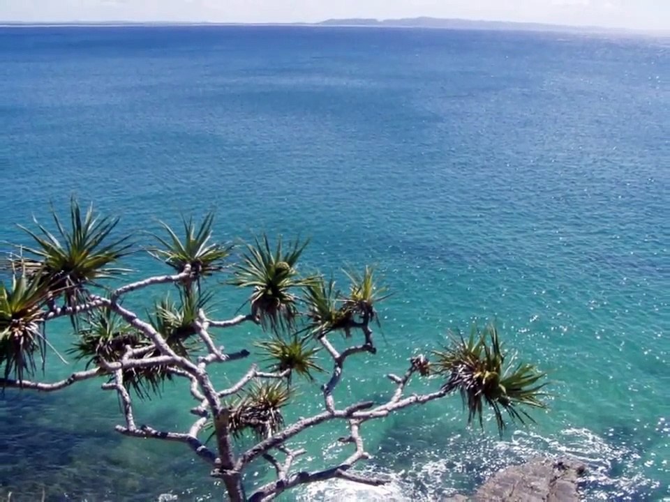 The Octopus Saison 0 - Bande son de La Piovra (Ennio Morricone) (EN)